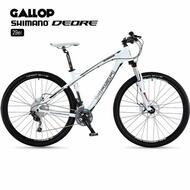 HASA Gallop Shimano DEORE 30 Speed 29er Mountain Bike