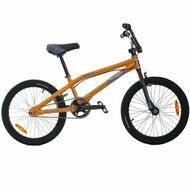 Alloy Frame Dirt Jump BMX Bike 20 Inch Orange