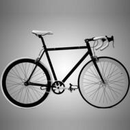HASA Track Fixie Single Speed Road Bike 53cm