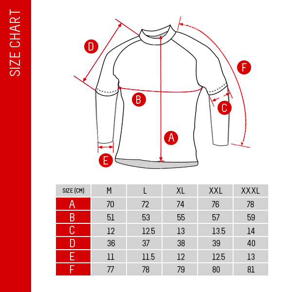 Buy Lecoq Sportif Short Sleeve Cycling Bicycle Jersey L CD