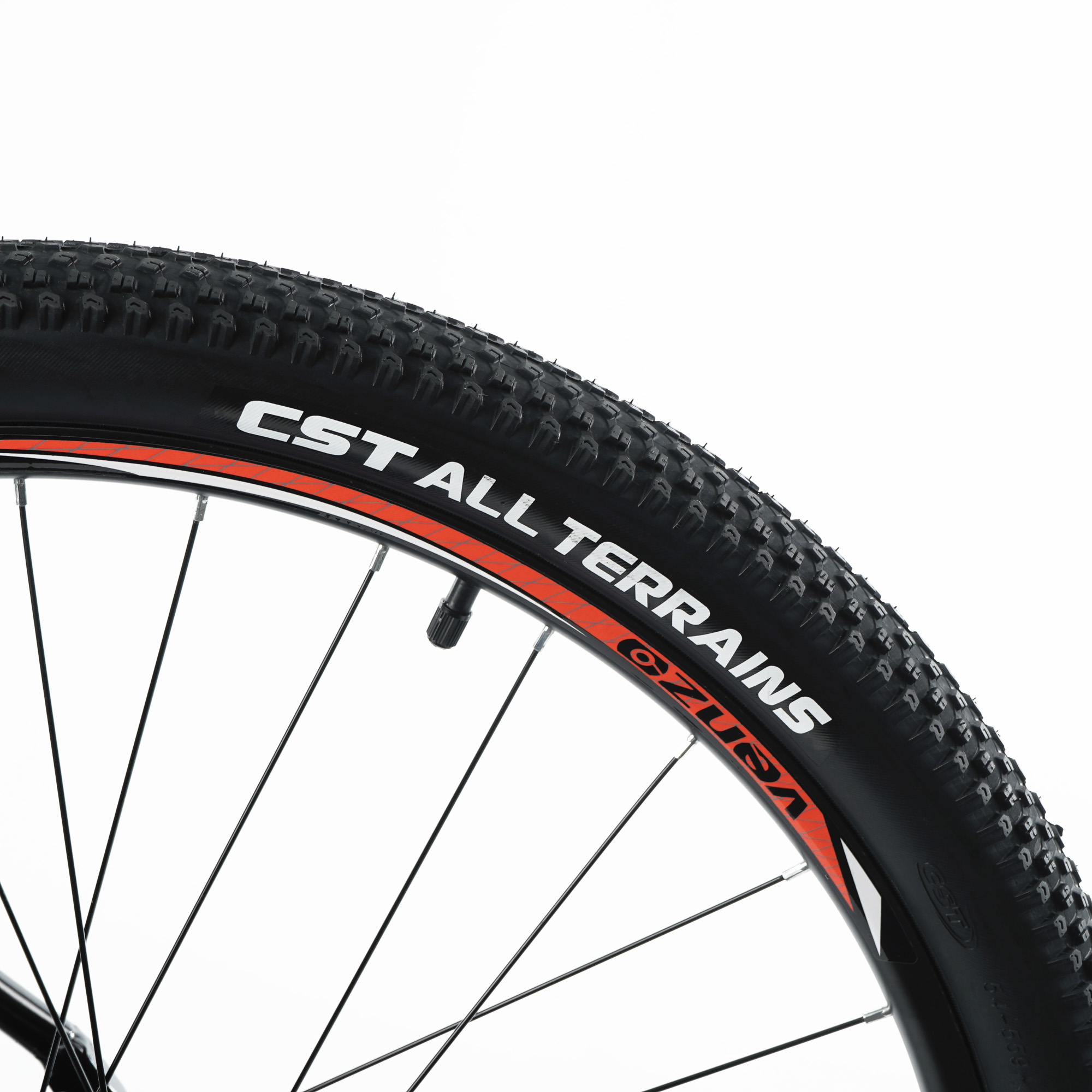 raptor cycles fatbike
