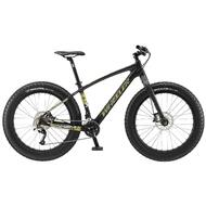 2016 WHEELER PHOENIX Carbon Snow Beach Sand Fat Mountain Bike 19"
