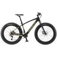 2016 WHEELER PHOENIX Carbon Snow Beach Sand Fat Mountain Bike