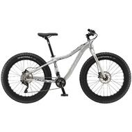 2016 WHEELER TAURUS Snow Beach Sand Fat XT Mountain Bike