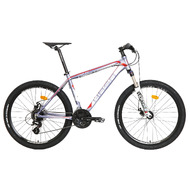 HASA COMP 3.0D Pro Shimano 24 Speed Mountain Bike 26" - Grey